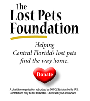 Know more about The Lost Pets Foundation